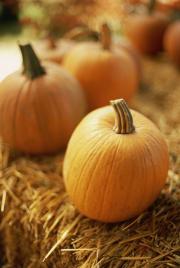 Fall Home Improvement Fix-Ups Made Easy Fall Home Improvement Fix-Ups Made Easy