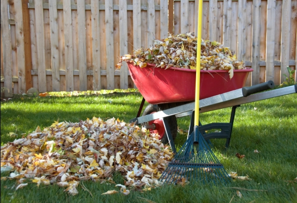 Fall Care for Your Lawn