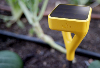 Edyn Garden Sensor Gives You a Green Thumb