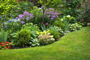 Landscaping: Different Types of Edging