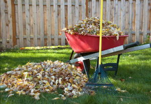 Fall Landscaping Tips