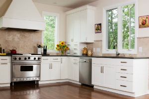 Pro-Style Range for a Home Kitchen