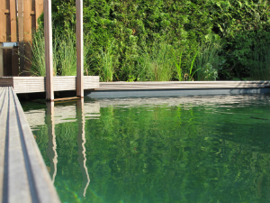 Natural Swimming Pools Self-Clean Without Chemicals