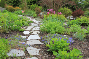 How to Lay a Stepping Stone Path