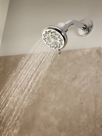 Nurture Eco-Performance Showerhead by Moen