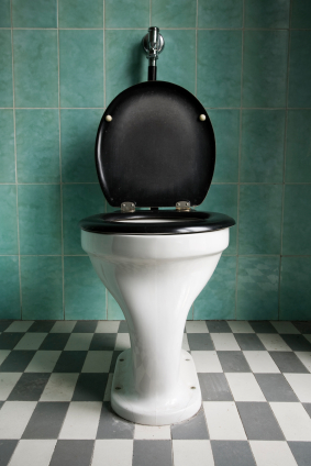 High Efficiency Toilets: Save Money and Water