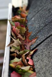 Tips on Fall Home Maintenance Projects