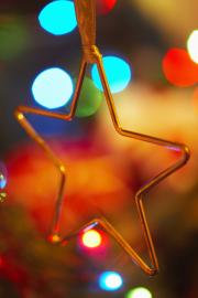 Energy Saving Holiday and Christmas Lights: LED and Fiber Optic