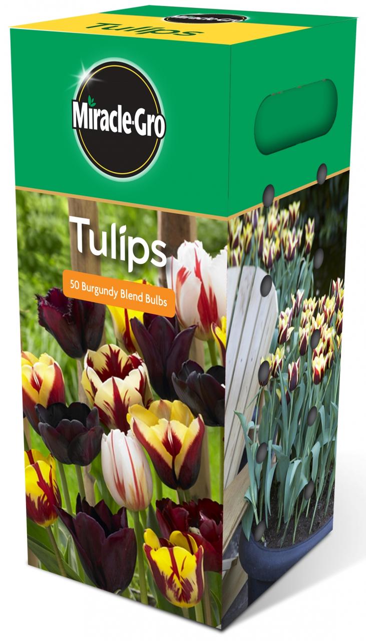 Scott's Miracle-Grow Tulips