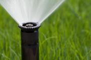 Use Drought Resistant Grass and Save Money by Lowering Water Bill