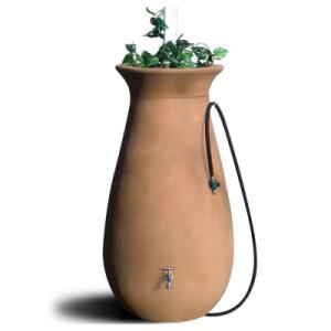 Create a Rainwater Collection System