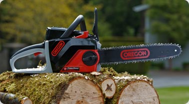 OREGON PowerNow 40 MAX Chainsaw