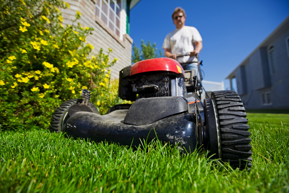 Grass Mowing Tips to Maintain a Healthy Lawn