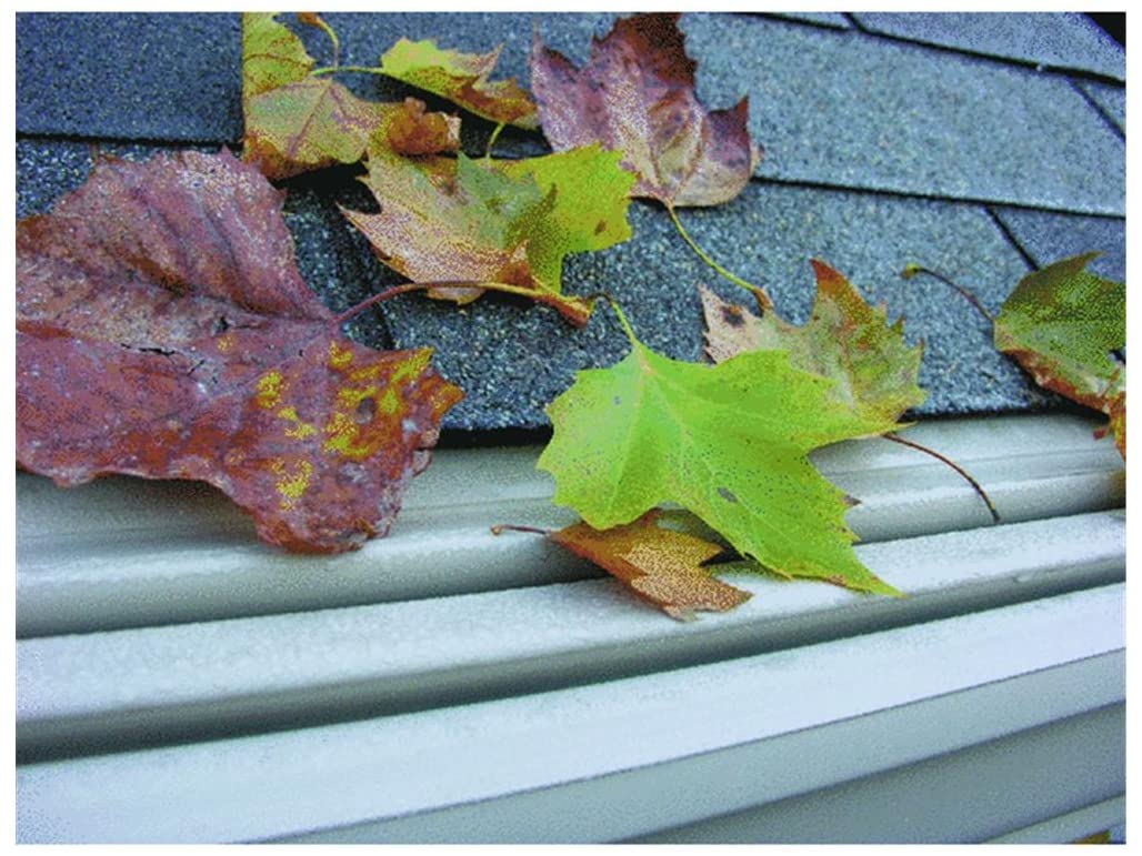 Leaves on top of gutter guard