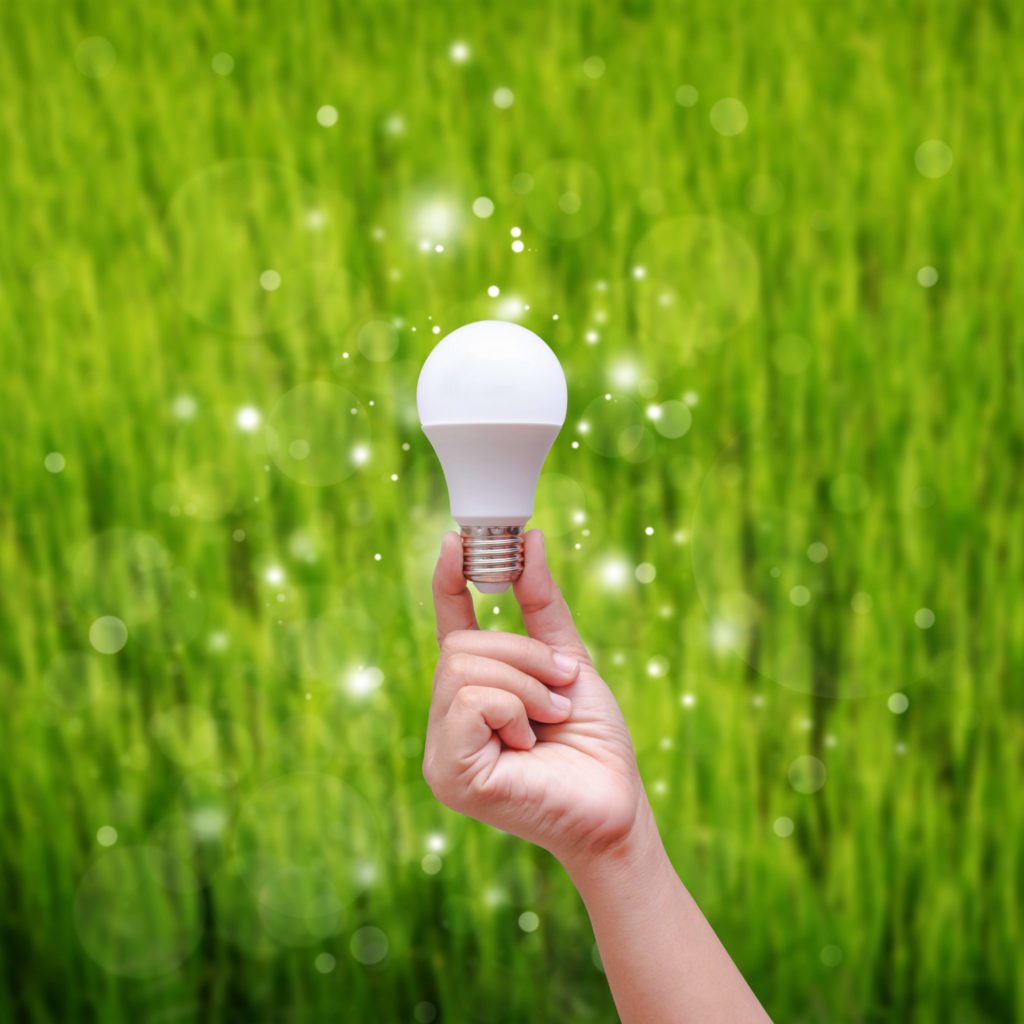 LED bulbs, energy efficiency, energy efficient lighting