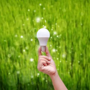 LED bulbs, energy efficiency