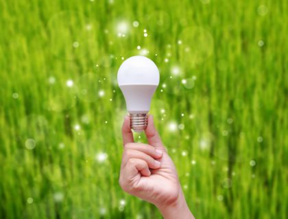 LED bulbs