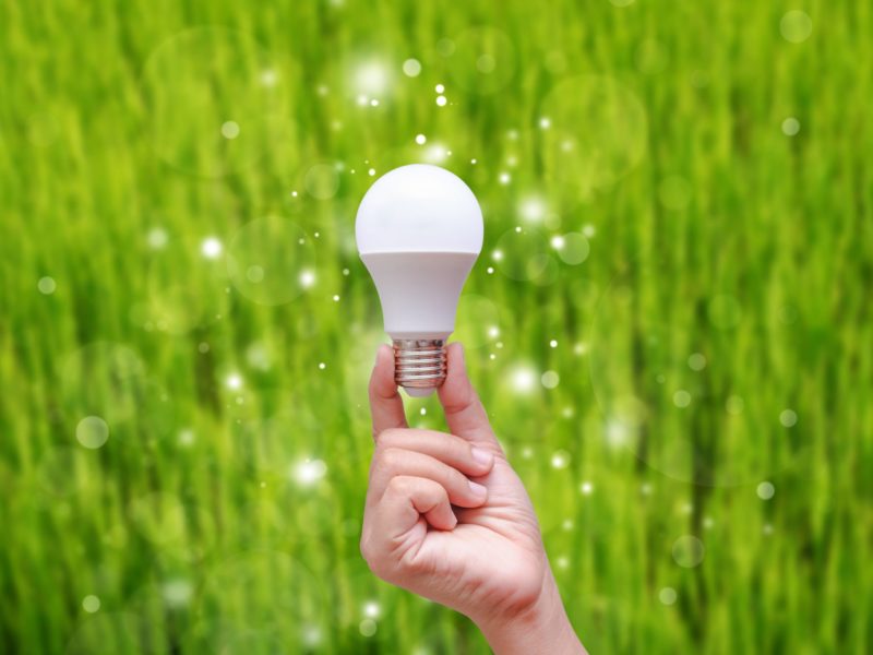 LED bulbs, energy efficiency
