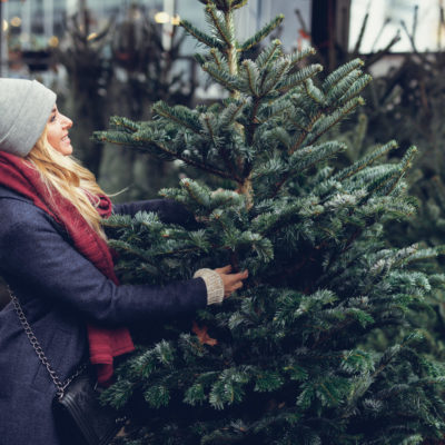 Woman picking out a great Christmas tree