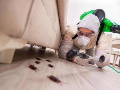 pest professional on ground following bugs