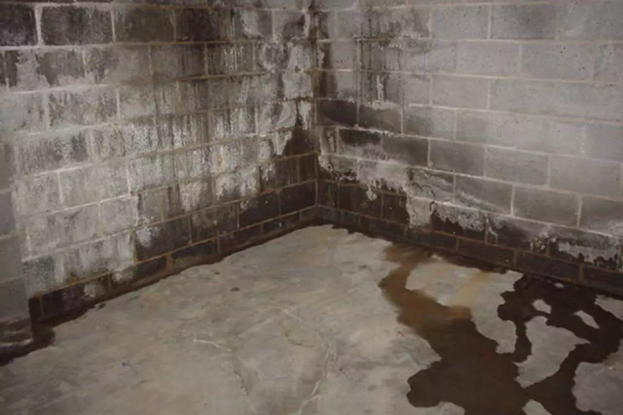 moisture through basement walls, home inspection