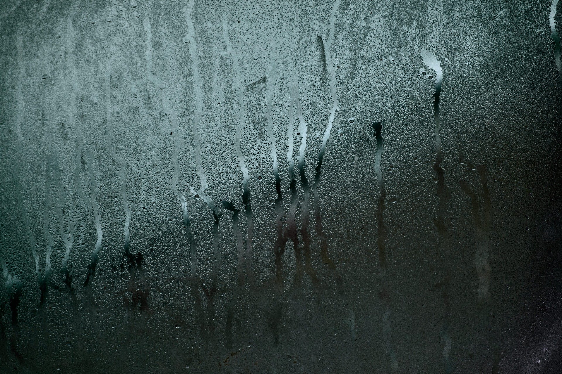 Window Condensation