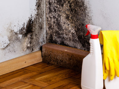 Mold on a closet wall