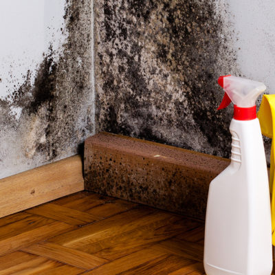 Mold on a closet wall