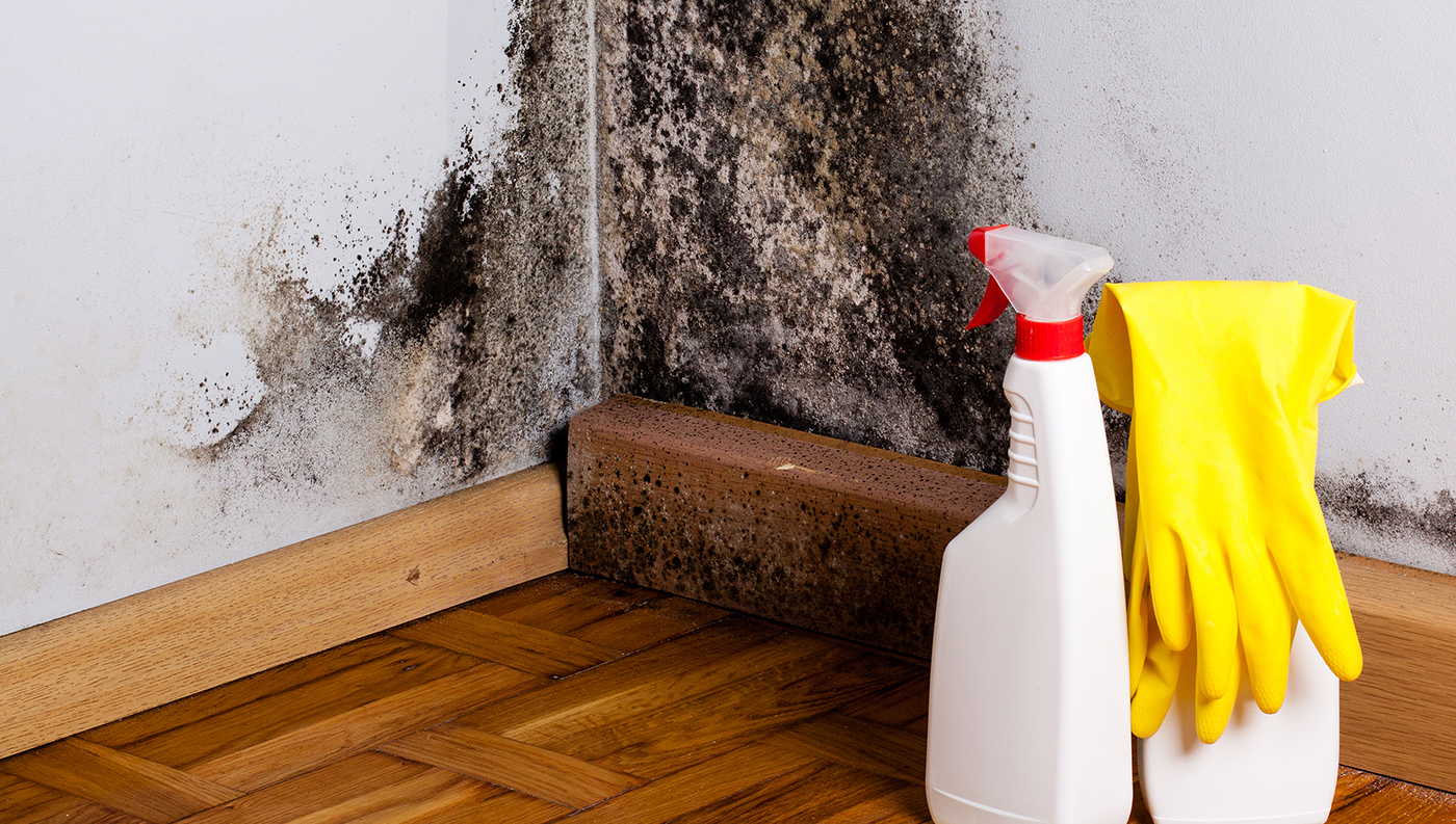 Mold on a closet wall