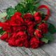 Boquet of red roses for Valentines Day.