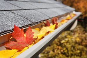 Gutter clogged with leaves