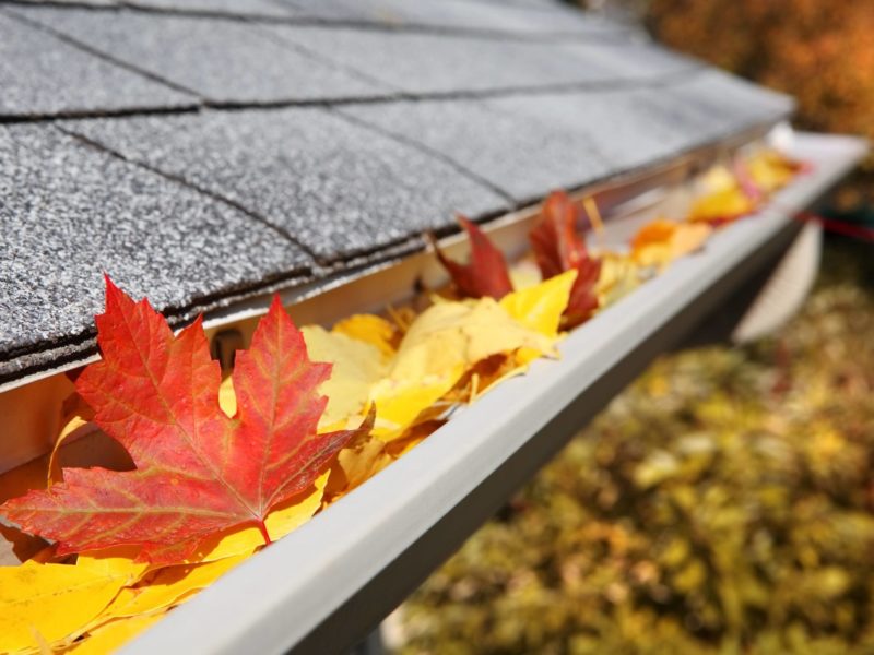 Gutter clogged with leaves