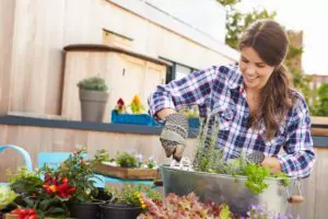 Woman Planting Container On Rooftop Garden