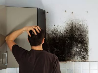 breathe easy, black mold