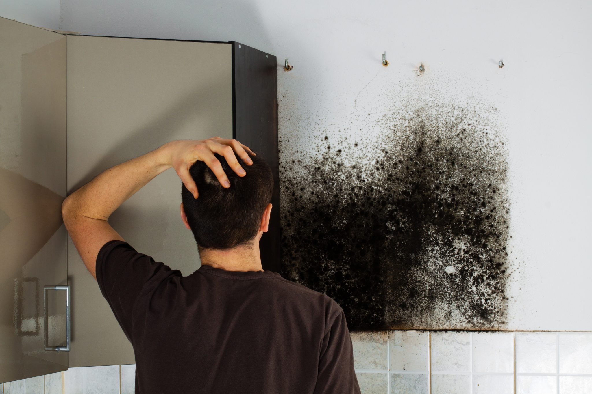 breathe easy, black mold