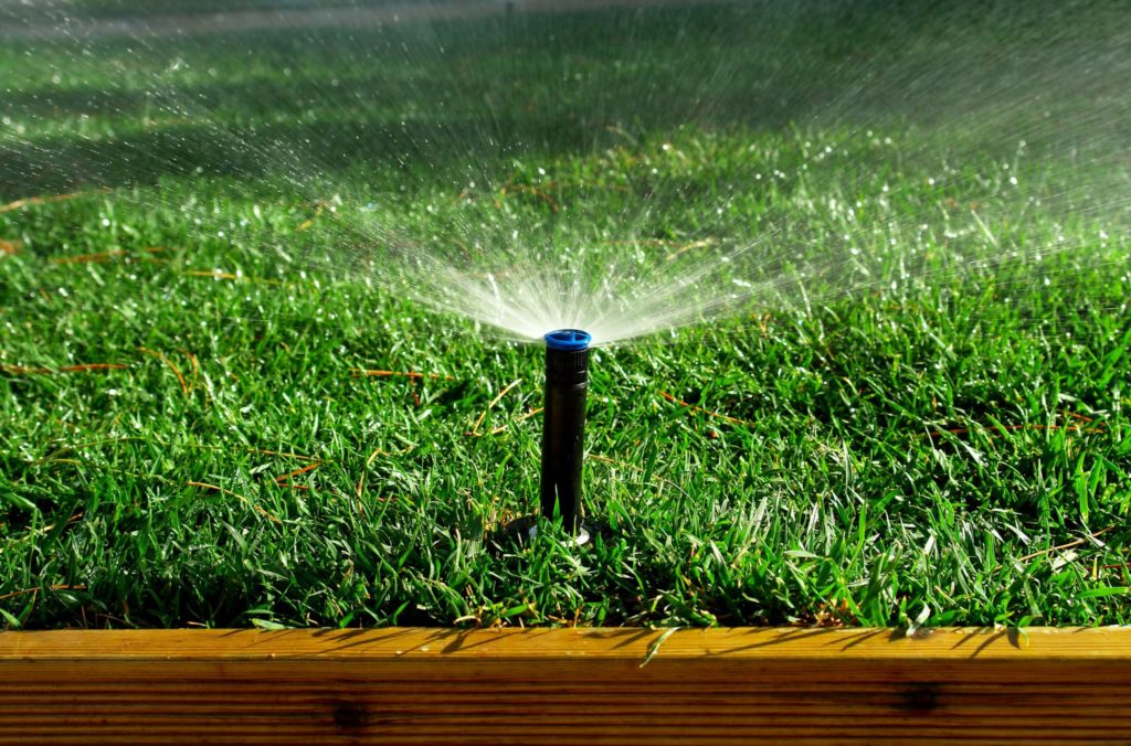 Irrigation is key to lawn repair.