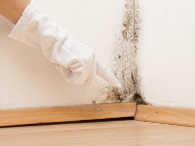 prevent mold