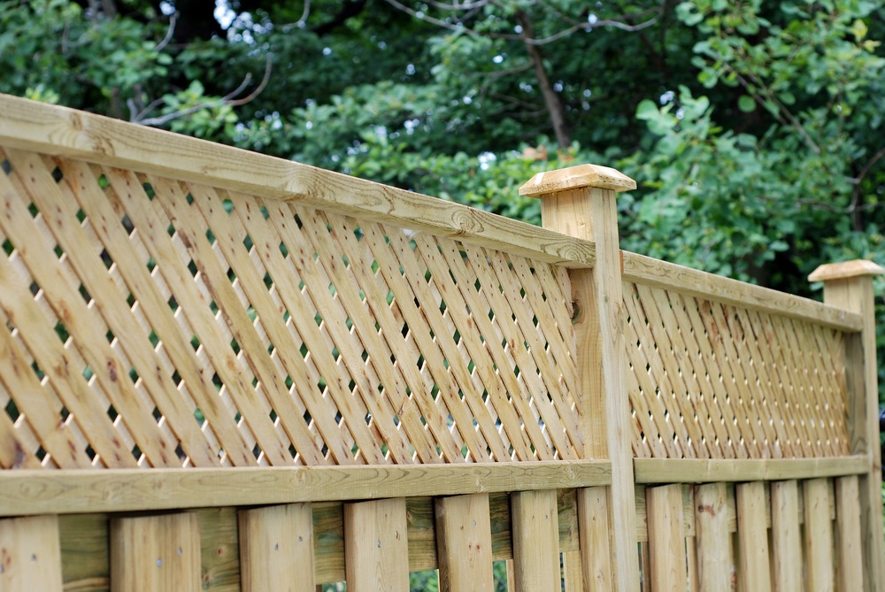 Backyard fence between homes