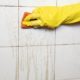 Cleaning bathroom tiles and grout