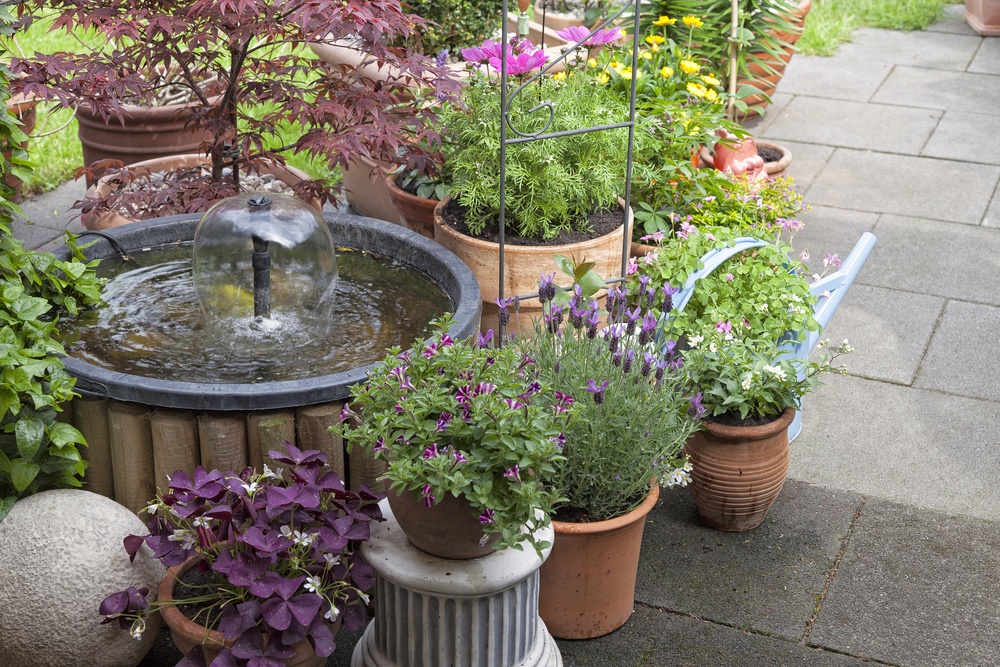 Container garden plants on a patio