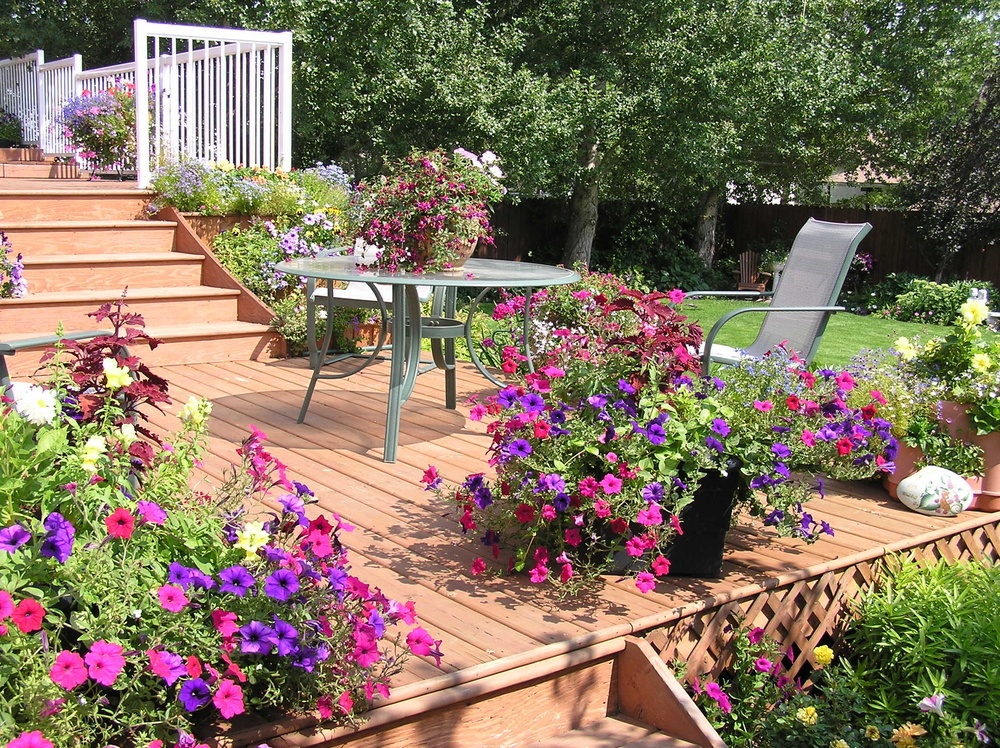 Container garden on patio