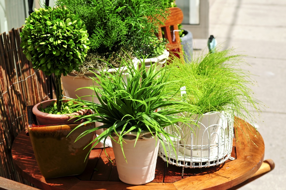 container gardening