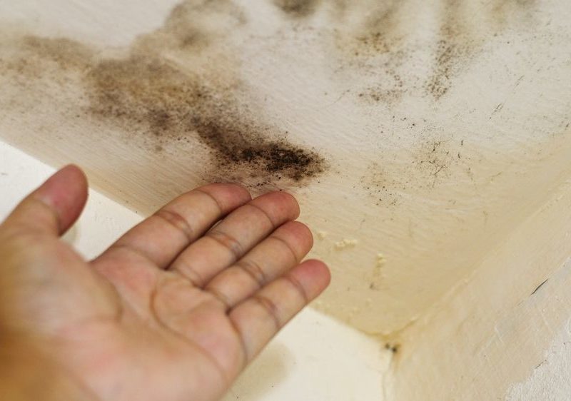 How To Repair Bathroom Ceiling Leak The Money Pit