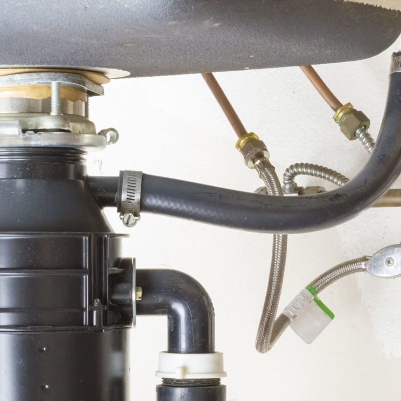 Get Rid of Fruit Flies in Garbage Disposal » The Money Pit