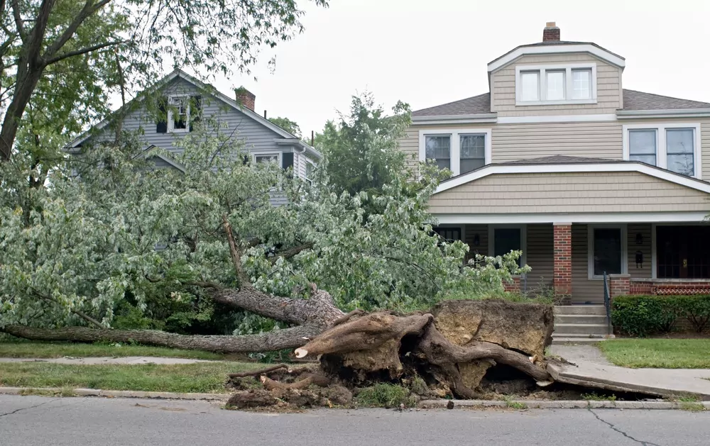 storm damage, hurricane, extreme weather