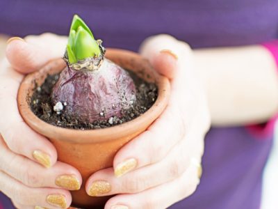 planter, mason jar planters