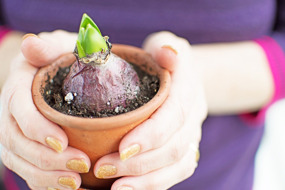 planter, mason jar planters