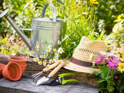 garden, gardening, flowers. watering