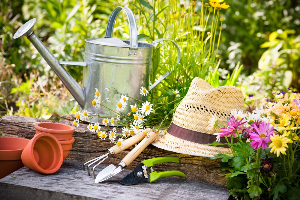 garden, gardening, flowers. watering