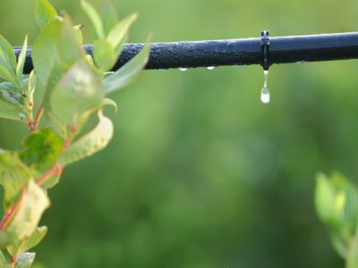 sprinklers, watering, drip irrigation